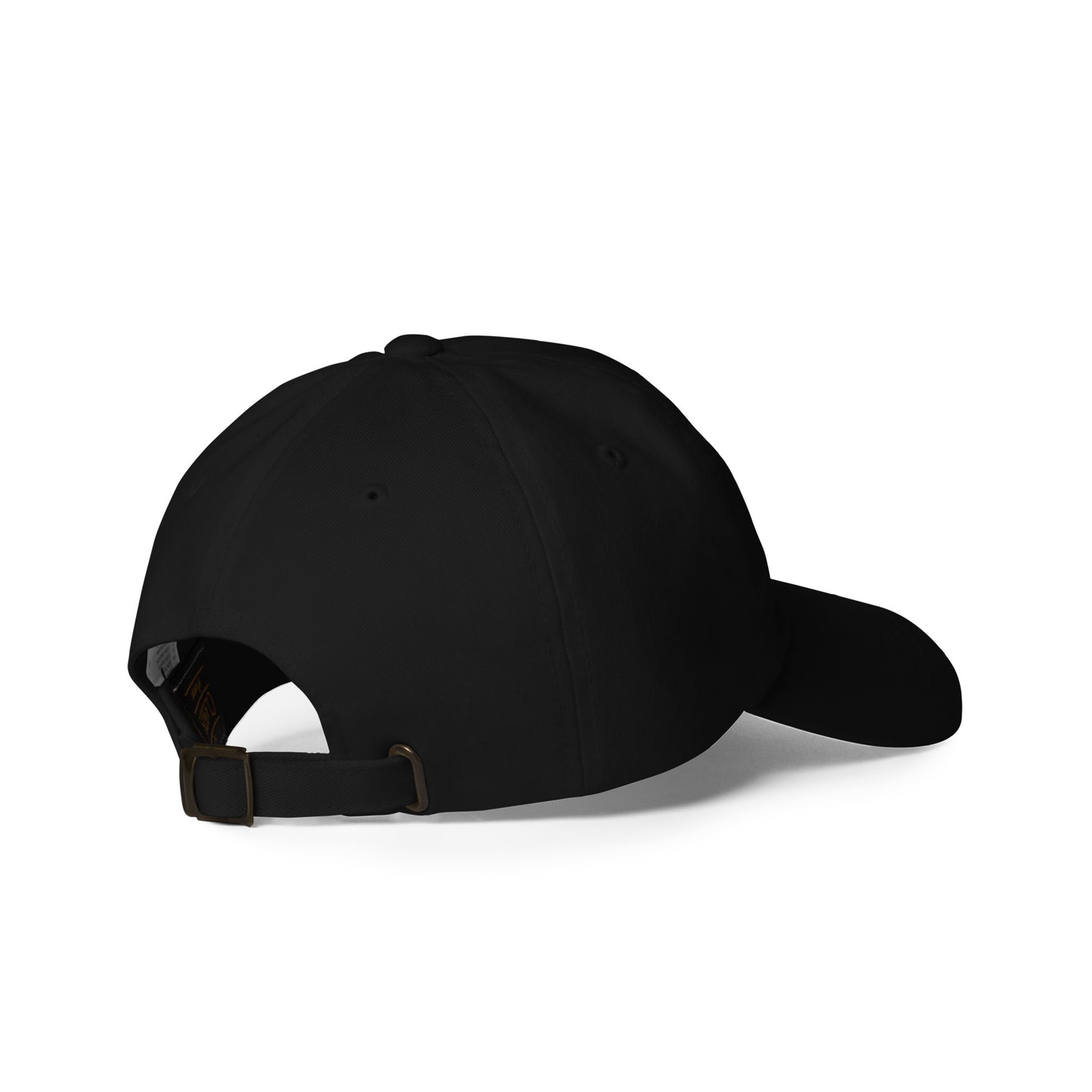 Money Bag Dad hat