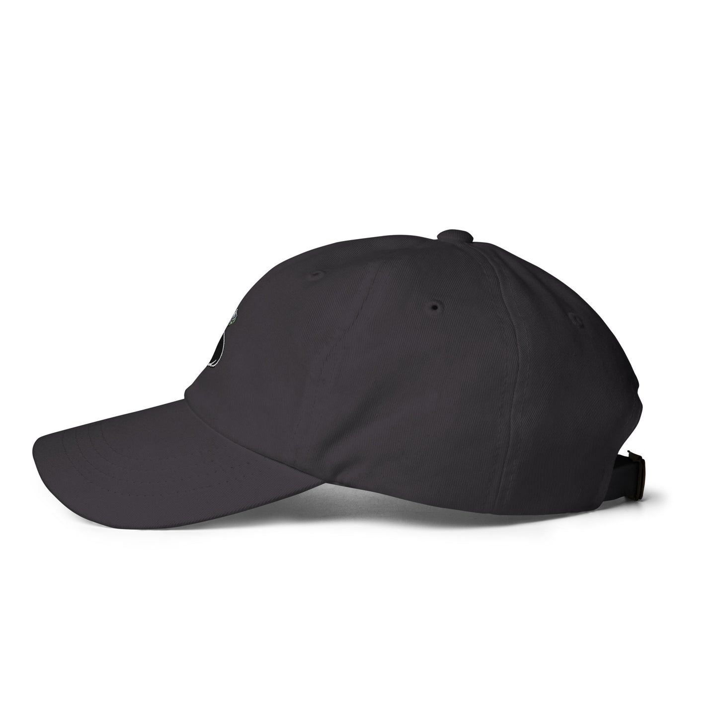 Money Bag Dad hat