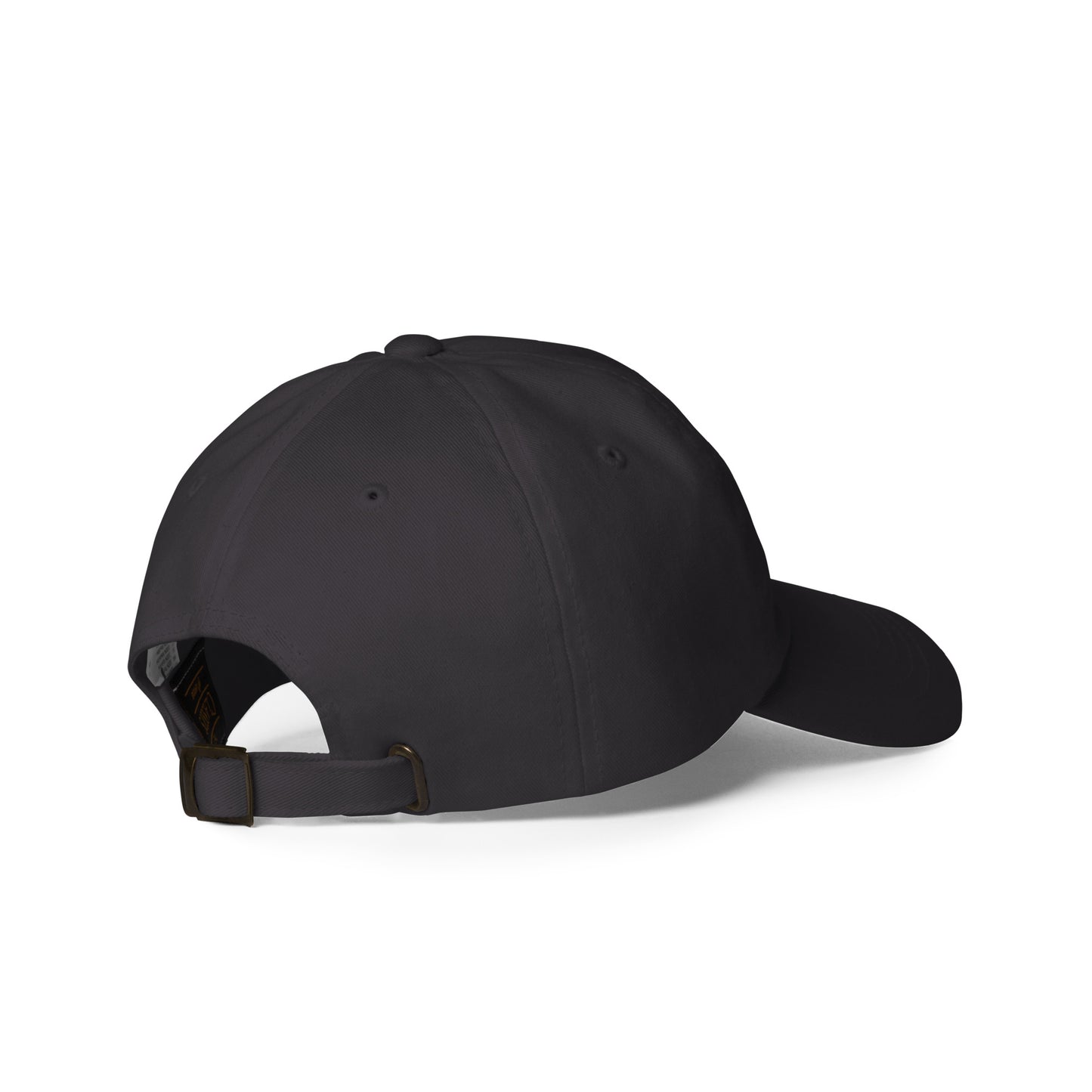 Money Bag Dad hat