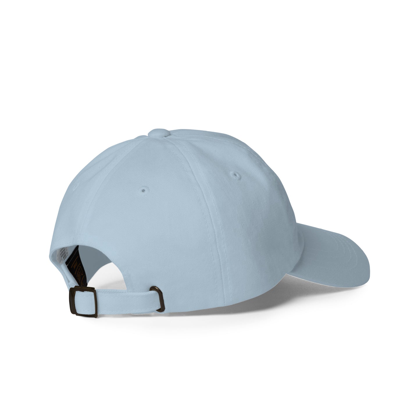 Money Bag Dad hat