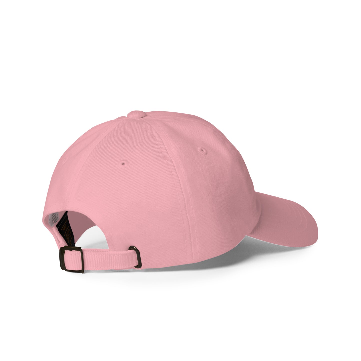 Money Bag Dad hat