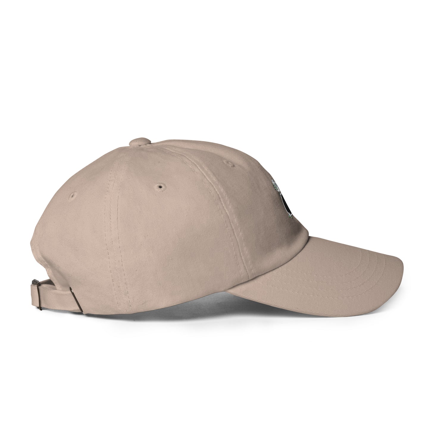 Money Bag Dad hat