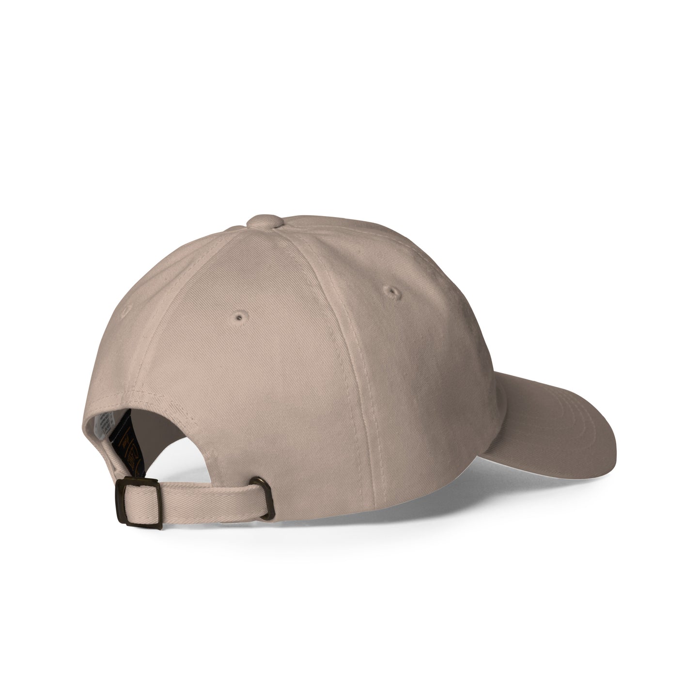 Money Bag Dad hat