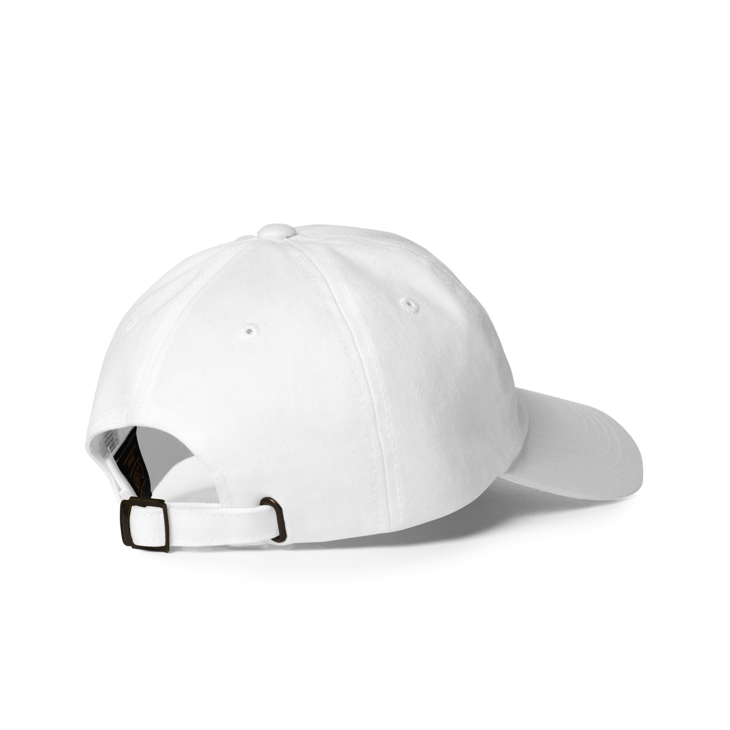 Money Bag Dad hat