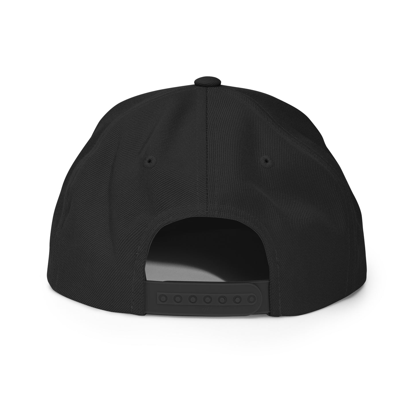 Money Bag Snapback Hat