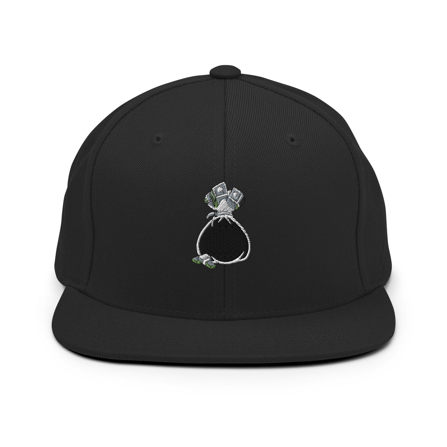 Money Bag Snapback Hat
