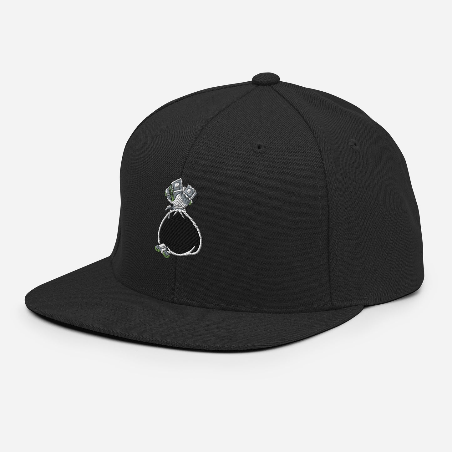Money Bag Snapback Hat