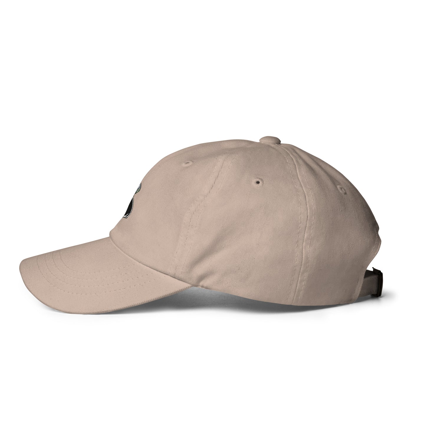 Money Bag Dad hat
